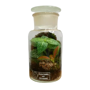 Apothecary Bottle Terrarium