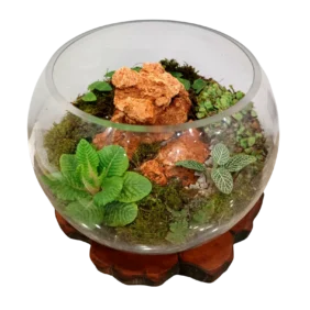 FISH BOWL ROCK TERRARIUM