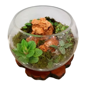 Fish Bowl Rock Terrarium