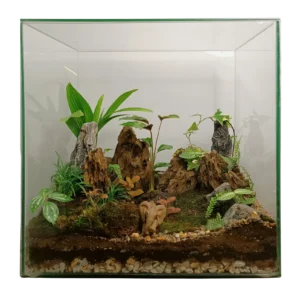 Fish Tank Glass Terrarium