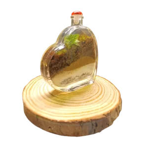 Heart Terrarium