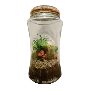 Long Jar White Stone Terrarium