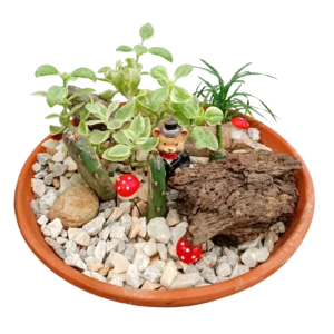 EARTHENWARE TERRARIUM